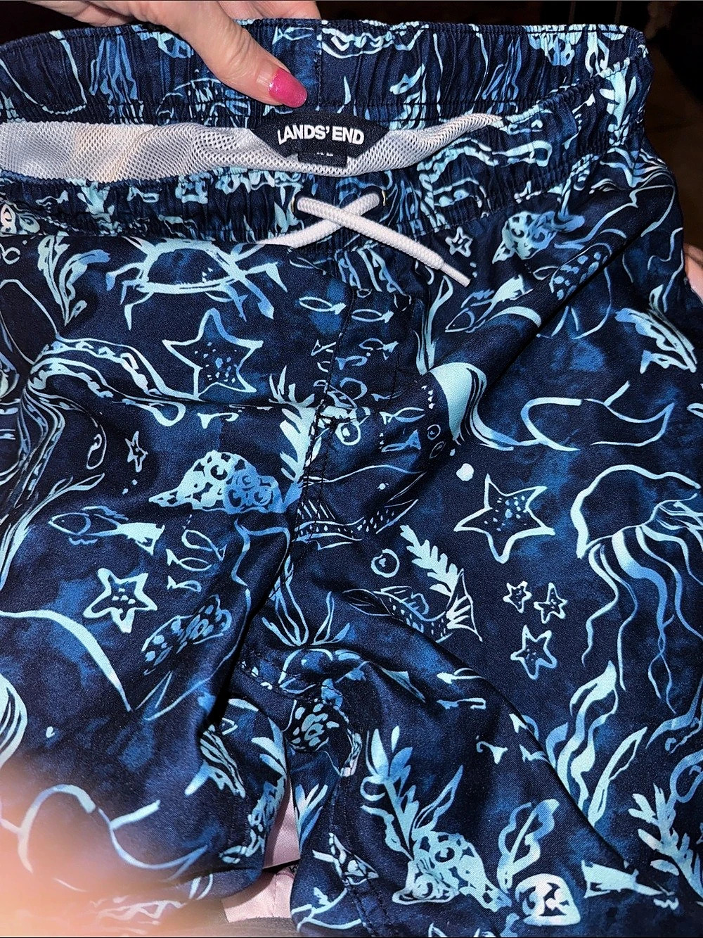 Lands' End Kids Swim Trunks in Blue